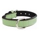 Кучешки Нашийник Gloria Подложка Зелен (30 x 1,5 cm)