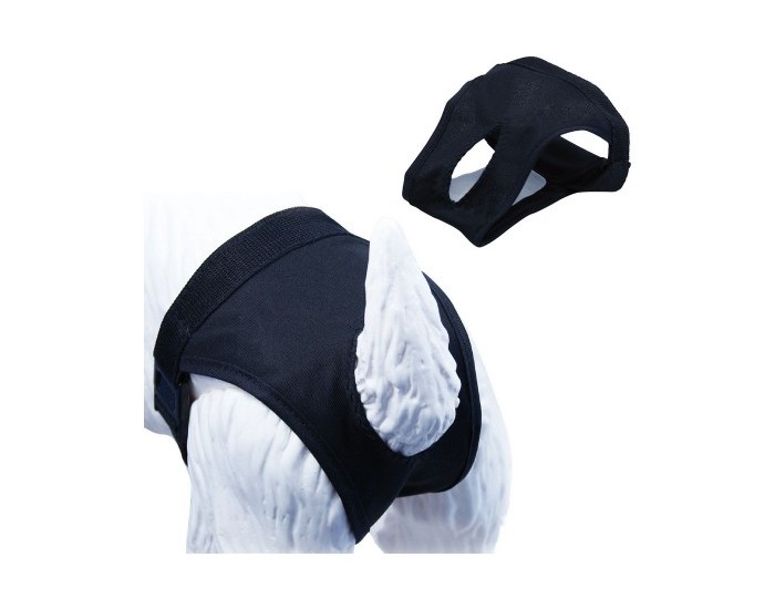 Бикини Gloria Slip Куче полиестер Размер 4 (50-59 cm)