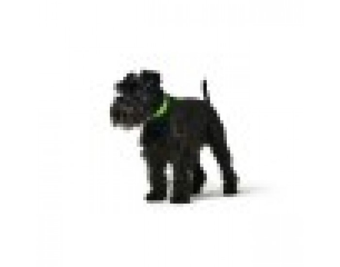 Кучешки Нашийник Hunter Convenience 23-31 cm Зелен XS/S