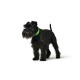 Кучешки Нашийник Hunter Convenience 23-31 cm Зелен XS/S