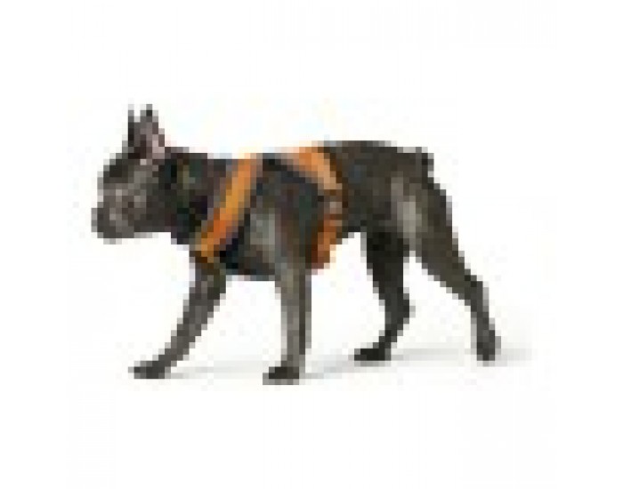 Каишка за Куче Hunter London Comfort 48-56 cm Оранжев Размер S/M