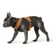 Каишка за Куче Hunter London Comfort 48-56 cm Оранжев Размер S/M