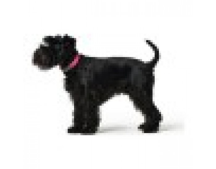 Кучешки Нашийник Hunter Convenience ,Розов