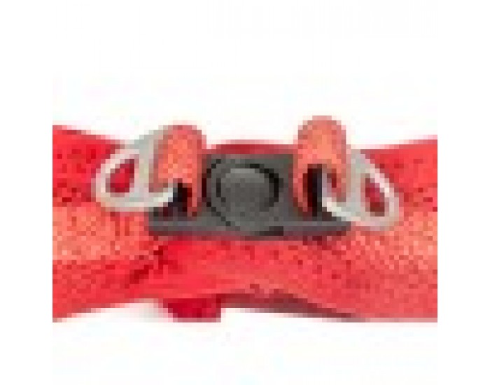 Каишка за Куче Gloria Trek Star 27-28 cm 31-34,6 cm Червен XS