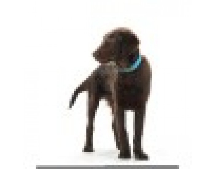 Кучешки Нашийник Hunter Convenience, Тюркоаз, 38-46 cm