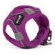 Каишка за Куче Gloria Air Mesh Trek Star, Лилав, 33,4-35 cm