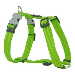 Каишка за Куче Red Dingo Гладък 25-39 cm Верде Лимон - Red dingo