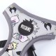 Каишка за Куче Disney XXS/XS Сив
