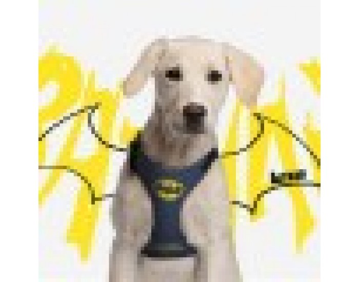 Каишка за Куче Batman XXS/XS Син