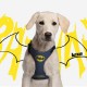 Каишка за Куче Batman XXS/XS Син
