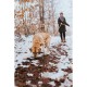 Кучешки Нашийник Hunter Convenience 53-61 cm L/XL Оранжев
