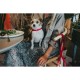 Кучешки Нашийник Hunter Convenience 53-61 cm L/XL Фуксия