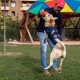 Dog Jacket Marvel Син XS
