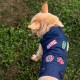 Dog Jacket Marvel Син XS