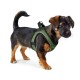 Каишка за Куче Hunter Comfort Зелен 30-35 cm