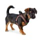 Каишка за Куче Hunter Comfort Розов 30-35 cm
