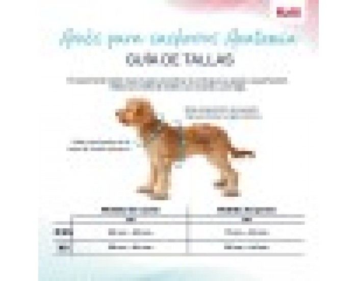 Каишка за Куче Company of Animals Сив XXS 22-30 cm