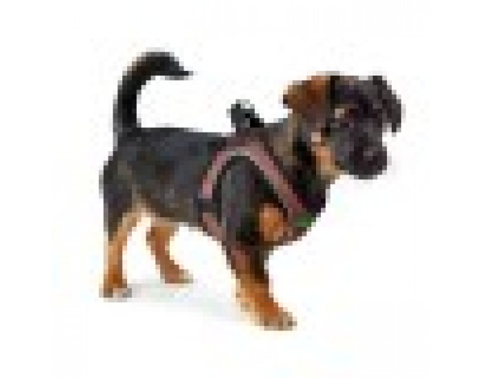 Каишка за Куче Hunter Comfort Розов M 55-60 cm