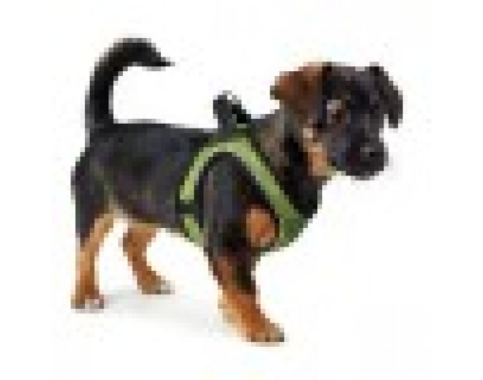 Каишка за Куче Hunter Hilo-Comfort Верде Лимон M (55-60 cm)
