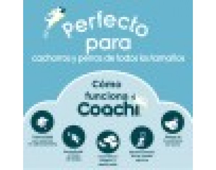 Кучешка Каишка Coachi Тренировка Син 10m
