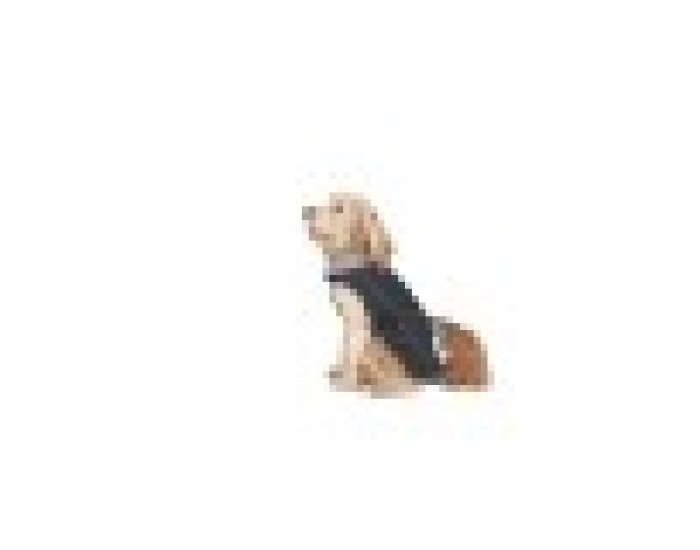 Кучешки Дъждобран Dog Gone Smart Черен 30 cm