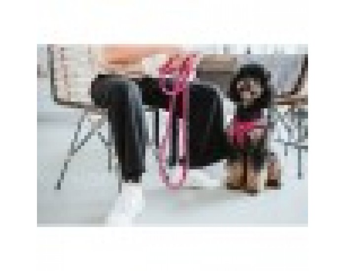 Каишка за Куче Hunter Comfort Фуксия M/L 58-63 cm