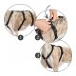 Каишка за Куче Hunter 38-52 cm Кафяв Черен XS/S - Hunter