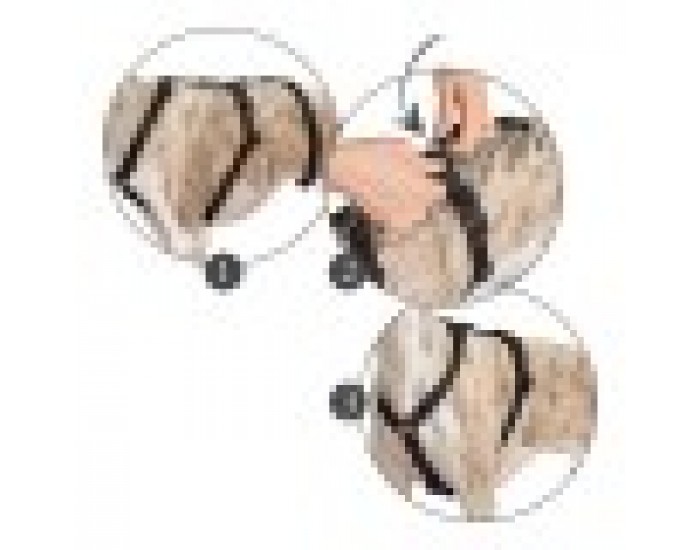 Каишка за Куче Hunter 38-52 cm Кафяв Черен XS/S