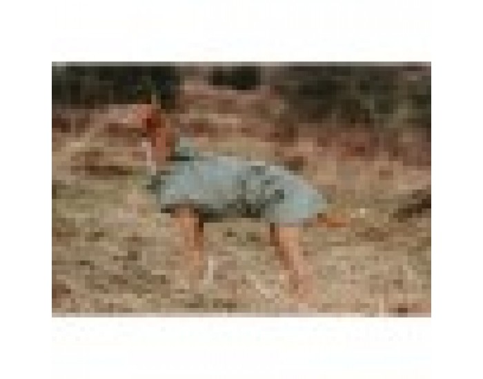 Палто за Куче Hunter Milford Зелен 45 cm