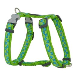 Каишка за Куче Red Dingo Style цвят тюркоаз Звезда Зелен 46-76 cm - Red dingo