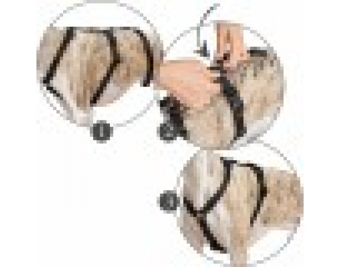 Каишка за Куче Hunter 48-70 cm Червен S/M 36-51 cm