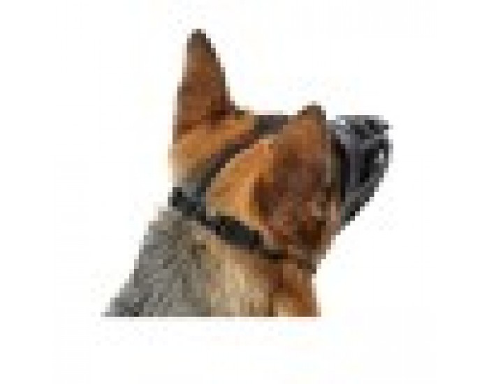 Муцуна Hunter Albury Черен Размер 6 (43 cm) (85 cm) (10 cm)