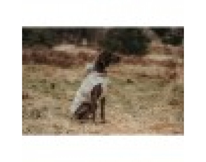 Палто за Куче Hunter Milford Бежов 50 cm