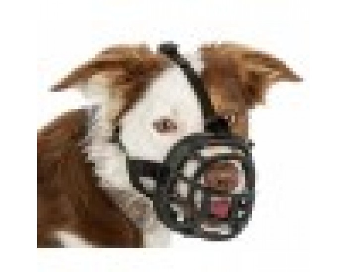 Муцуна Company of Animals Черен 6