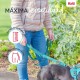 Кучешка Каишка Company of Animals цвят тюркоаз S
