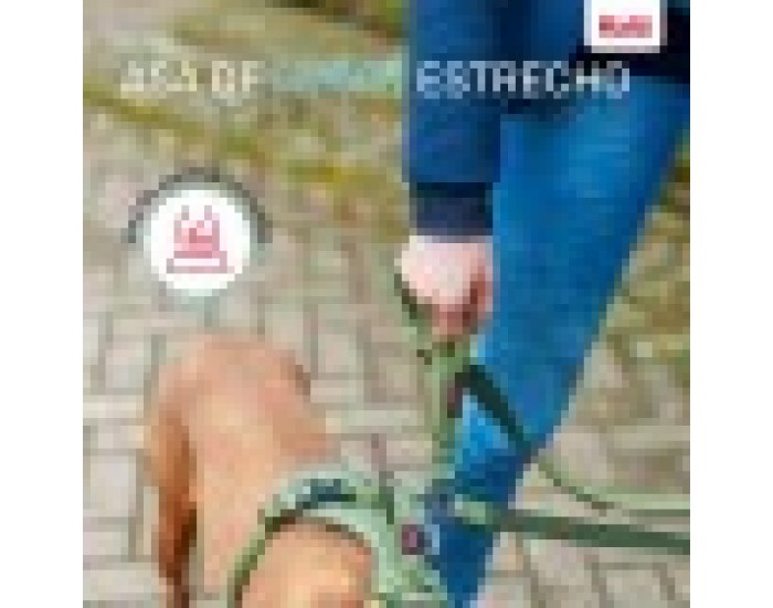 Кучешка Каишка Company of Animals цвят тюркоаз S