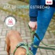 Кучешка Каишка Company of Animals Сив L