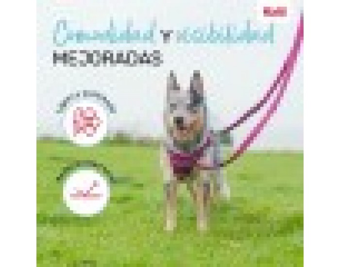Кучешка Каишка Company of Animals Сив L