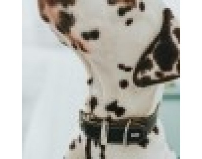 Кучешки Нашийник Hunter Aalborg, 30-38 cm