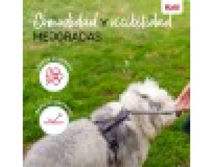 Каишка за Куче Company of Animals Сив XS 20-32 cm