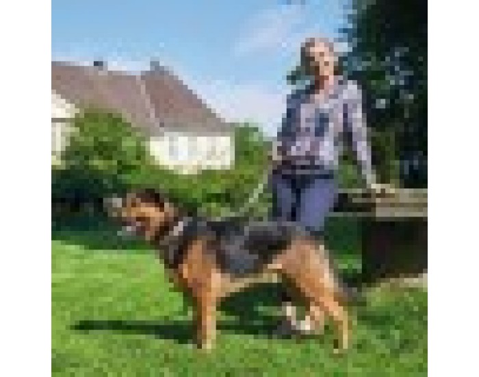 Кучешки Нашийник Hunter Swiss Negro, Кожа