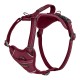 Каишка за Куче Company of Animals Бургундия S 28-42 cm