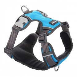 Каишка за Куче Red Dingo Подложка Turquoise L - Red dingo