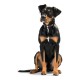 Кучешки Нашийник Hunter Swiss Negro, 35-39.5 cm