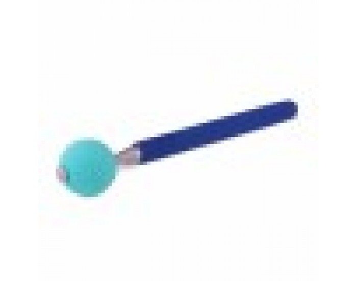 Training toy Coachi Stick Син