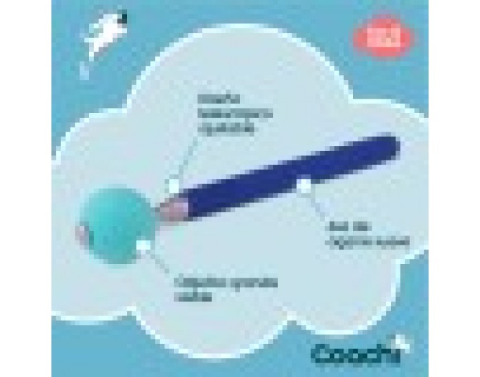 Training toy Coachi Stick Син