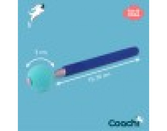 Training toy Coachi Stick Син
