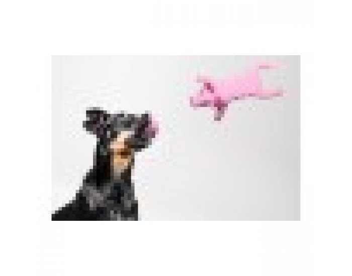 Играчка за Кучета Gloria Dogmonsters, Розов, Прасе