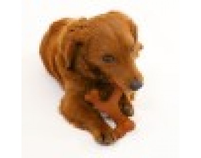 Играчка за Кучета Nylabone 20 Кафяв Животни