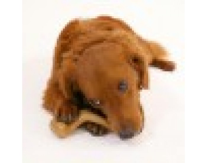 Играчка за Кучета Nylabone Пиле 20 Сметана Животни